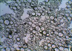 Microsphères creuses