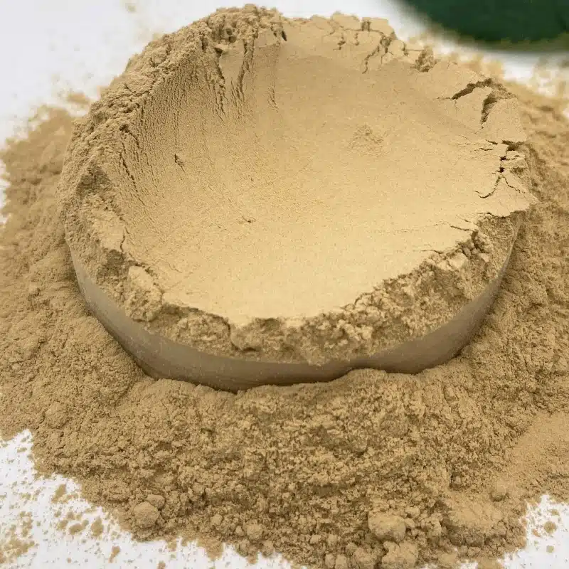 bentonite powder (2)